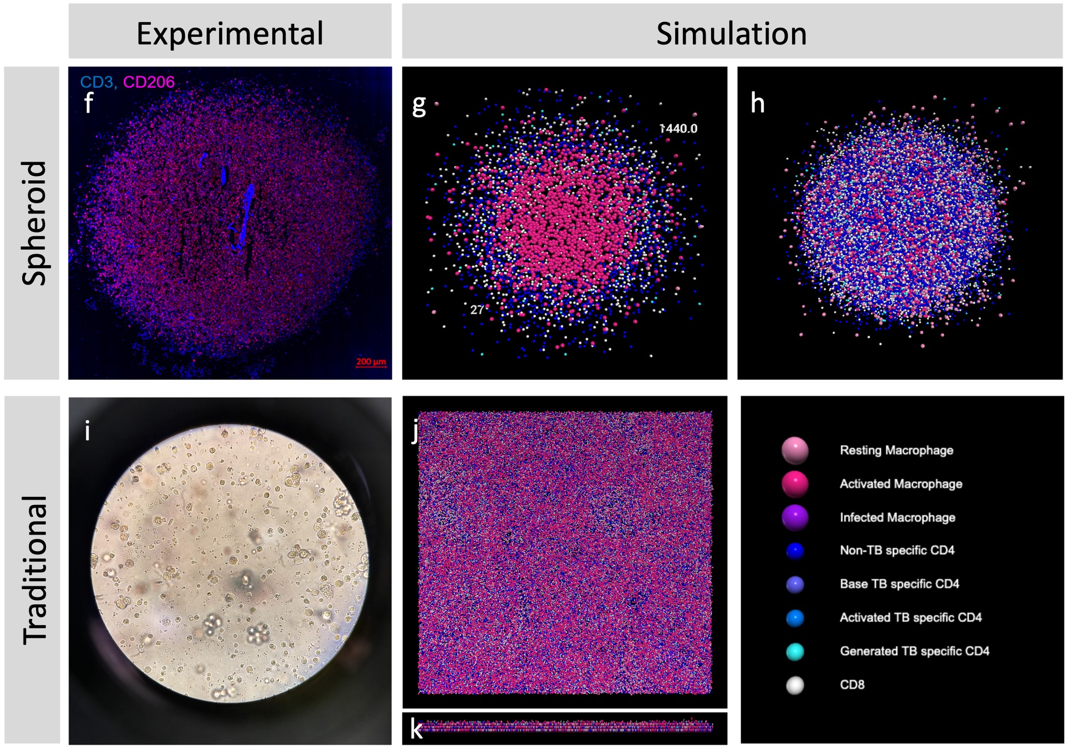 Read more: The Pienaar Lab – Elsje Pienaar